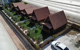 Riviera Bungalow Evleri 2